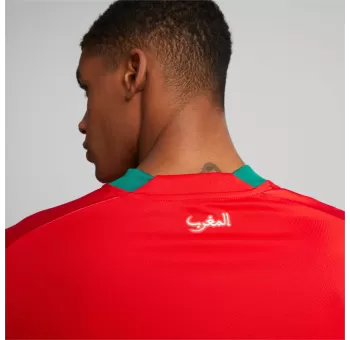 Maillot Domicile FRMF Replica Puma Rouge-Power