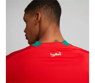 Maillot Domicile FRMF Replica Puma Rouge-Power