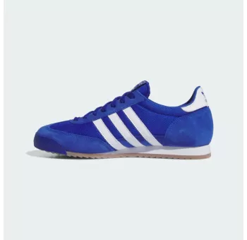 Chaussures de Sport R71 ROYBLU/FTWWHT/GOLDMT